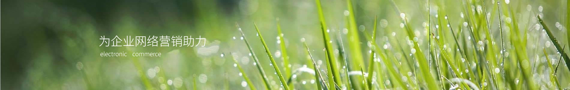 ɶ˹ֿƼ޹˾